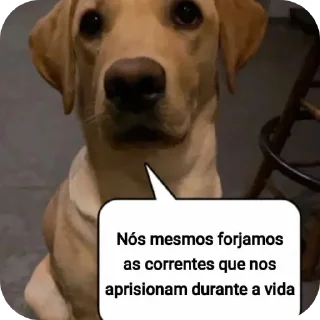 Telegram sticker 🐶 homem doente @zombeteiro
