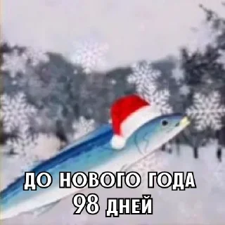 Video sticker 🎄 Больше стиков тут: @archstick
