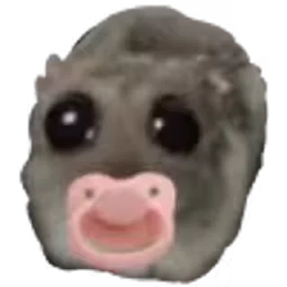 Video sticker 🍼 @eeg1rl 𝑰'𝒎 𝒋𝒖𝒔𝒕 𝒂 𝒈𝒊𝒓𝒍 💒🍭🧁🩰🩷 @GimmeStickerBot