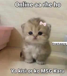 Video sticker 😭 Mahi's_creation