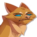 Video sticker 😣 Kyanderpack