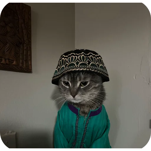 Telegram stiker 🧔 Moebiusheal :: @fStikBot