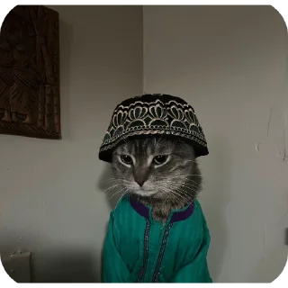 Video sticker 🧔 Moebiusheal :: @fStikBot