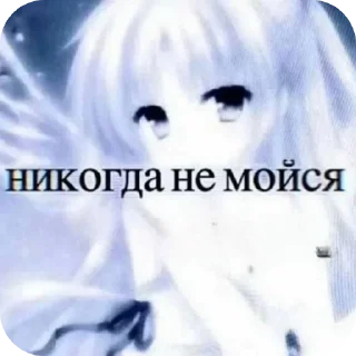 Video sticker 👍 Кирканутые стикеры