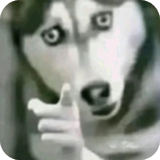 Telegram sticker 🖼 свэга пэга