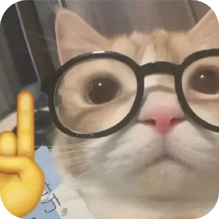 Video sticker 🤓 tOrReS