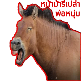 Sticker 😂 ..
