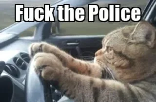 Video sticker 😂 @mehuldekate205 Vol.1