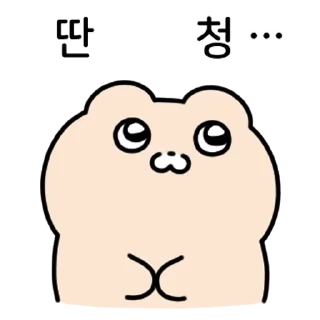 Video sticker ⭐ 와플곰이 나타나따! 4 @manbull_sticker_bot