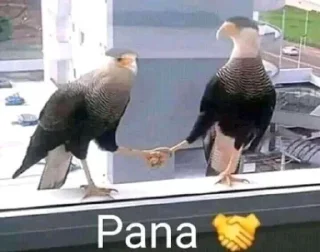 Телеграм стикер 🤝 Weas random