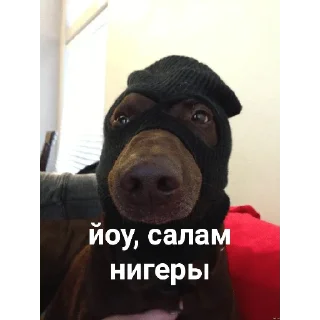 Telegram sticker 😎 @casualsongsss музыка🖤