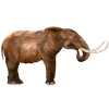 Video sticker 🐘 @Russian_OSINT_2