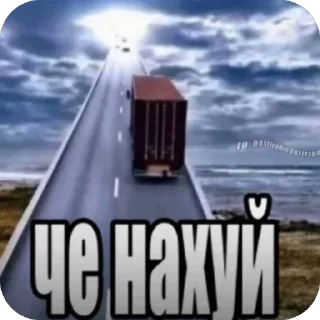 Video sticker 🫥 соузные стикеры by @nutskovvv