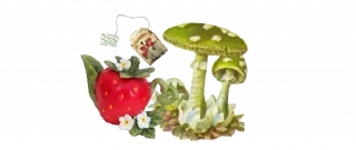 Telegram stiker 🍄 @elegaency's fairy time