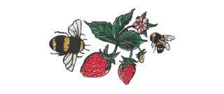 Telegram stiker 🍓 @elegaency's fairy time