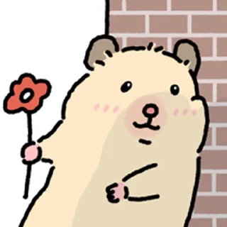 Video sticker ⭐ 햄스터 확대 2 @moe_sticker_bot