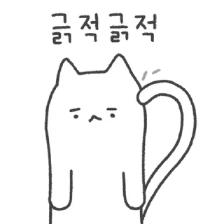 Video sticker 💬 Gorong the Broken Cat By @KakaoEmoticon