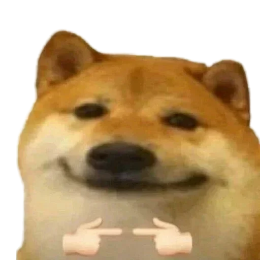 Telegram sticker 🤩 GigaNigaCoolPack