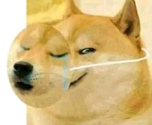 Telegram sticker 😌 GigaNigaCoolPack