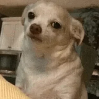 Телеграм стикер 😔 FRH🦭