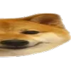 Video sticker 🐶 Угадайте �...