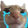 Video sticker 😭 Угадайте �...