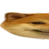 Video sticker 🐶 Угадайте �...