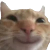 Video sticker 🙂 Угадайте �...