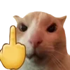 Video sticker 🖕 Угадайте �...