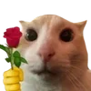 Video sticker 🌹 Угадайте �...