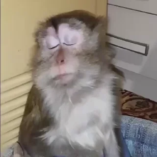 Video sticker 🥺 Больше стиков тут: @stikery4