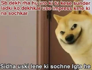 Video sticker 🌟 Wolf ki bakchodi returns @wolfkibakchodi