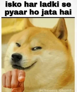 Telegram sticker 🤨 Wolf ki bakchodi returns @wolfkibakchodi