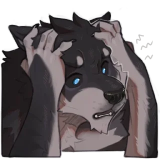 Video sticker 😦 rekin3d