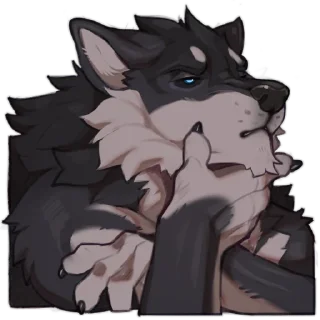 Video sticker 😕 rekin3d