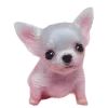 Video sticker 🐶 animals ➜ @emoji1
