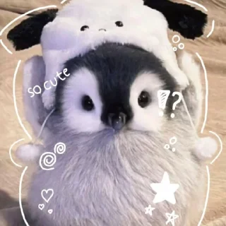 Telegram sticker 🐧 ‌    lıl @fear4lde 's pənguin