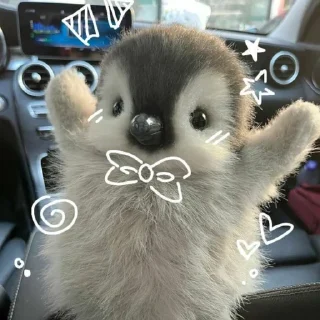 Telegram sticker 🐧 ‌    lıl @fear4lde 's pənguin