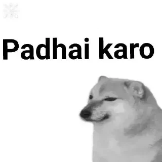 Telegram sticker ✨ @xD_Zent • Doge