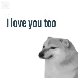 Video sticker ✨ @xD_Zent • Doge