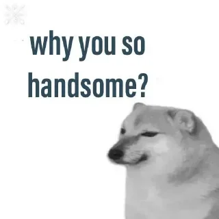 Video sticker ✨ @xD_Zent • Doge