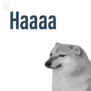 Telegram sticker ✨ @xD_Zent • Doge