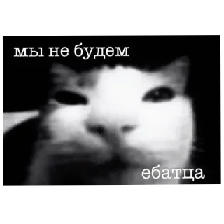 Telegram sticker 🖼 свага