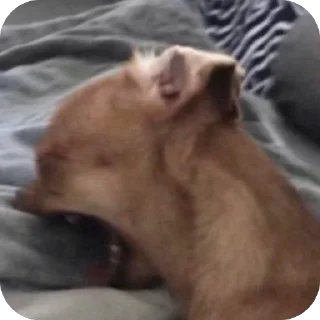 Telegram sticker 🫥 $ett