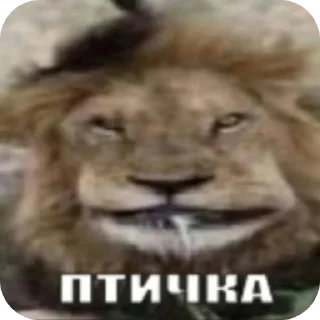 Telegram sticker 👍 Зачем