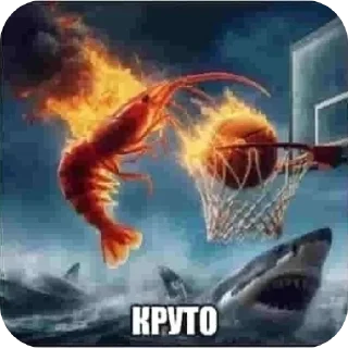 Sticker 🖼 Зачем