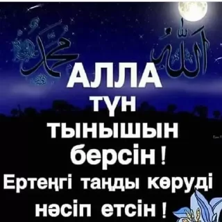 Телеграм стикер 😴 Қазақша стикер
