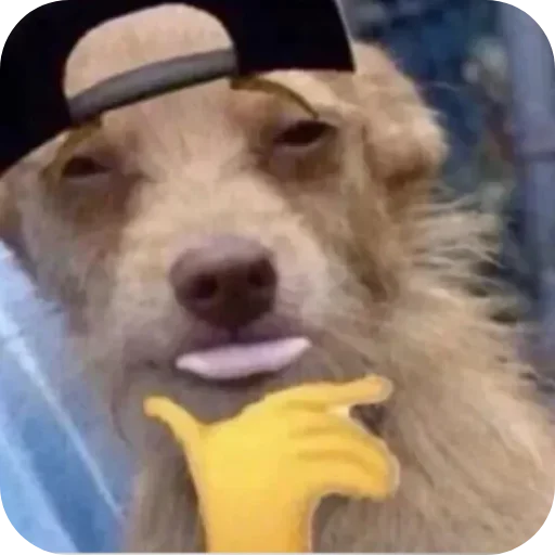 Sticker 🐶 Jubis7