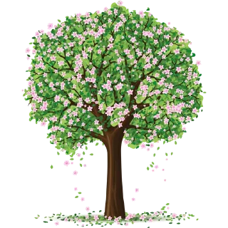 Video sticker 🌳 Trees @PunjabiSticker
