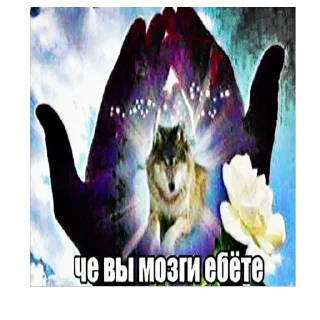 Telegram sticker 🐺 Хуй-няяяяяя :3 by @merzotapishet